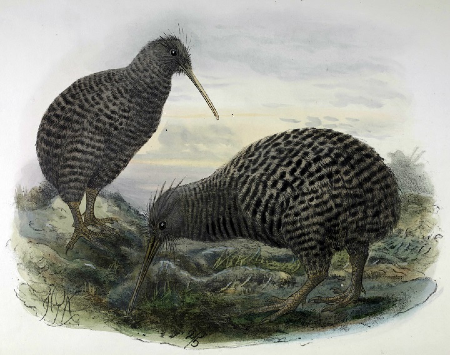KiwiSaver for a first Kiwi home